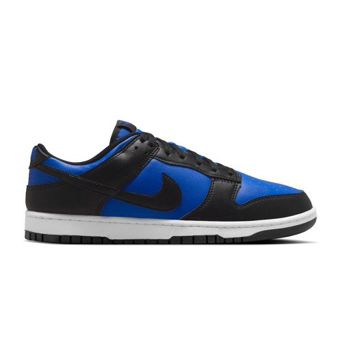 Nike Dunk Low Retro (HF5441-401) [1]