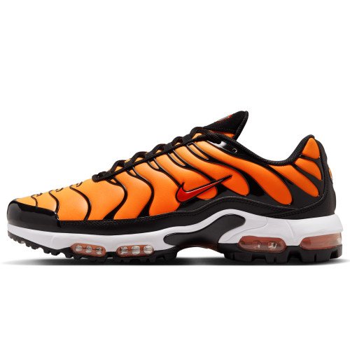 Nike Air Max Plus (FZ4150-800) [1]