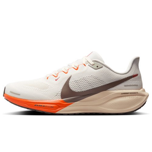 Nike Pegasus 41 (HV5975-102) [1]