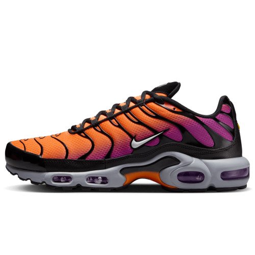 Nike Air Max Plus (DM0032-014) [1]