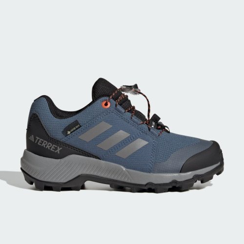 adidas Originals TERREX GORE-TEX (JI1358) [1]