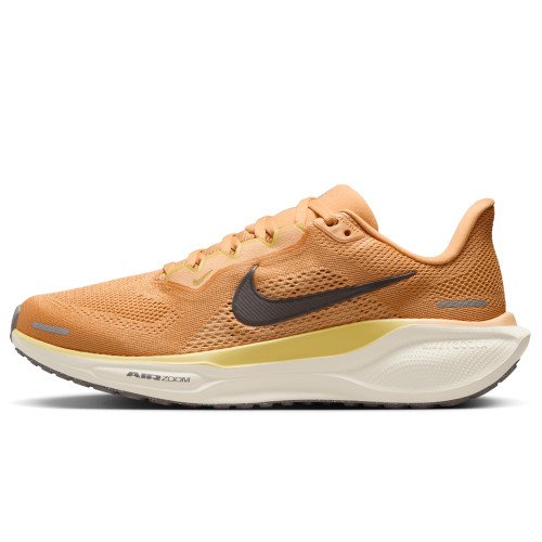 Nike Pegasus 41 (FD2723-800) [1]