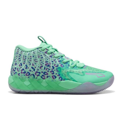 Puma MB.01 'Alien Safari' (311401-01) [1]