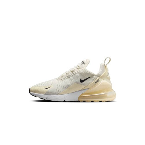 Nike Air Max 270 (AH6789-124) [1]