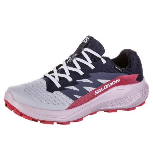 Salomon ALPHAGLIDE GTX (L47802300) [1]