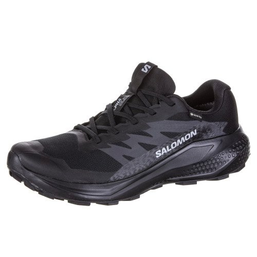 Salomon ALPHAGLIDE GTX (L47802100) [1]