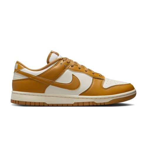 Nike DUNK LOW RETRO (HF5441-108) [1]