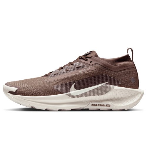 Nike Pegasus Trail 5 Gore-Tex SP (HQ7494-200) [1]