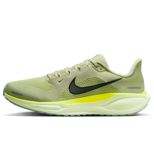 Nike Pegasus 41 (FD2722-303) [1]