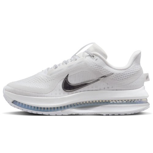 Nike Pegasus Premium (HQ2593-102) [1]