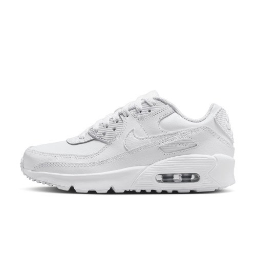 Nike Air Max 90 LTR (CD6864-133) [1]