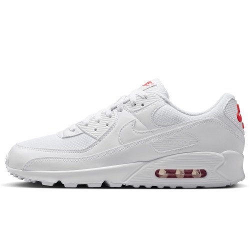 Nike Air Max 90 (DM0029-118) [1]
