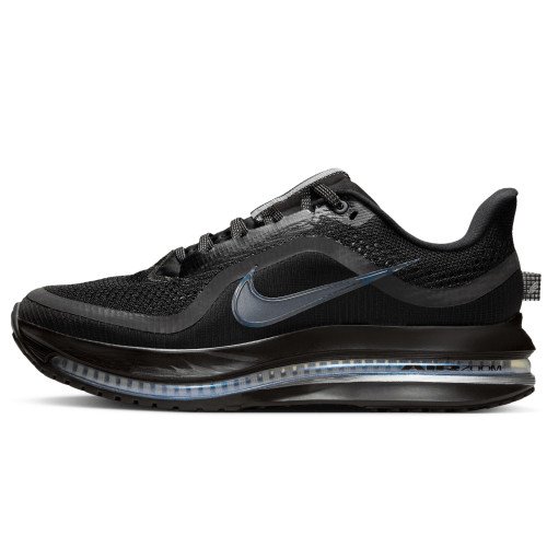 Nike Pegasus Premium (HQ2593-004) [1]