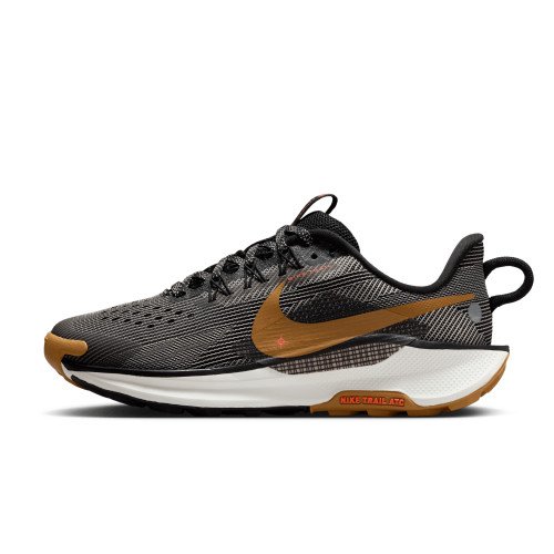 Nike Pegasus Trail 5 (FV5638-005) [1]
