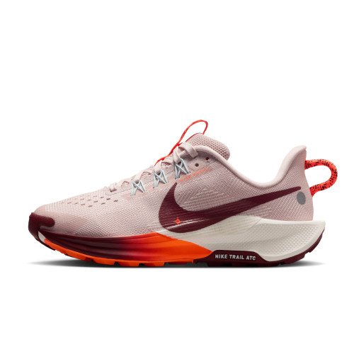 Nike Pegasus Trail 5 (FV5638-601) [1]