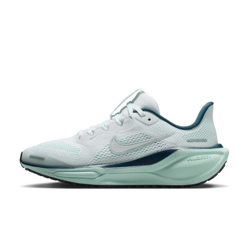 Nike Pegasus 41 (FN5041-404) [1]