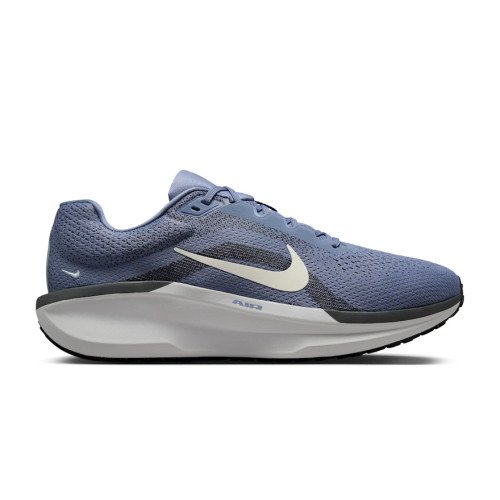Nike WINFLO 11 (FJ9509-405) [1]