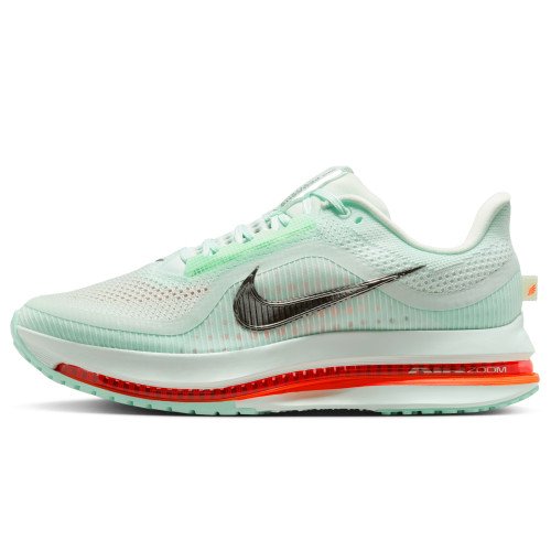 Nike Pegasus Premium (HQ2592-301) [1]