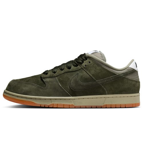 Nike Dunk Low Pro B (HJ0367-301) [1]
