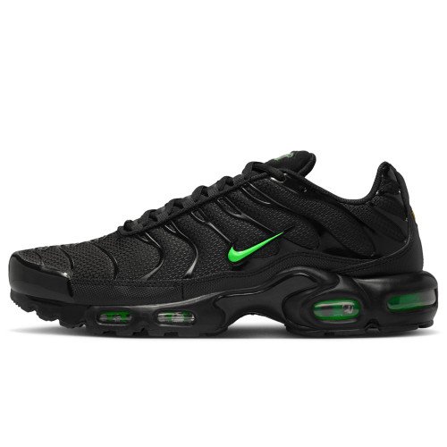 Nike Air Max Plus (DM0032-024) [1]