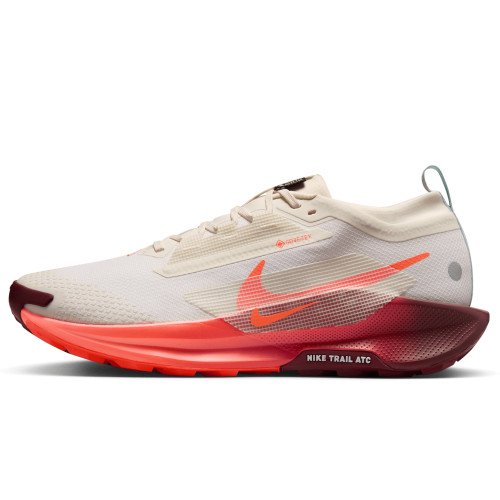 Nike Pegasus Trail 5 GORE-TEX (FQ0908-104) [1]