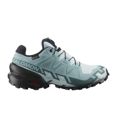 Salomon Speedcross 6 GTX (L47880100) [1]