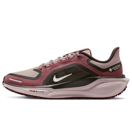 Nike Pegasus 41 GORE-TEX (FQ1357-200) [1]