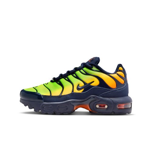 Nike Air Max Plus (FZ0023-700) [1]