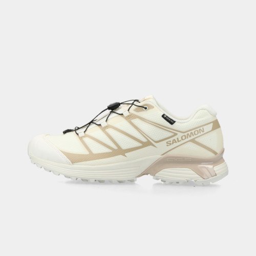 Salomon XT-PATHWAY GTX (L47861800) [1]