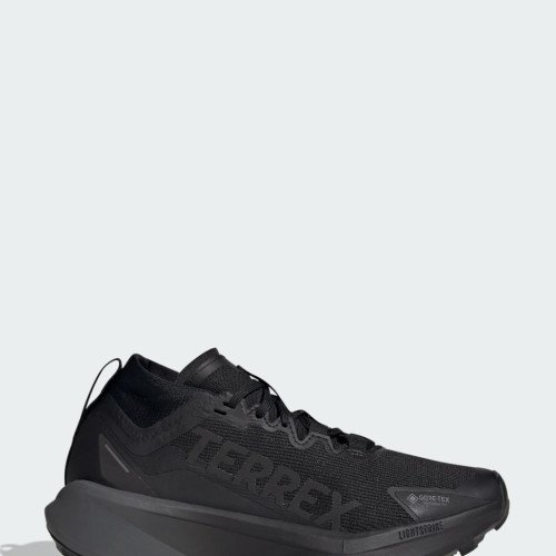 adidas Originals Terrex Agravic GTX (JR5247) [1]