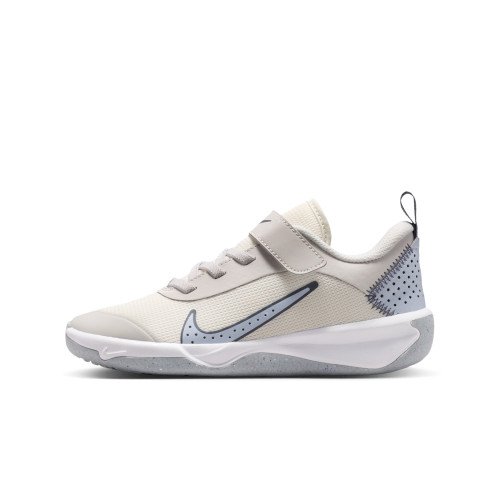 Nike Omni Multi-Court (DM9026-013) [1]