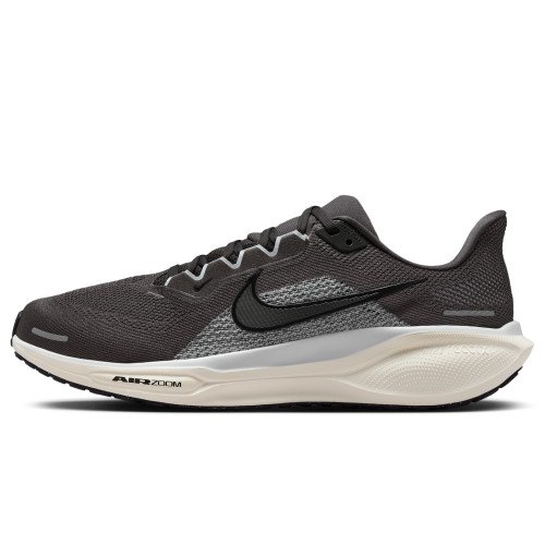 Nike Pegasus 41 (FD2722-215) [1]