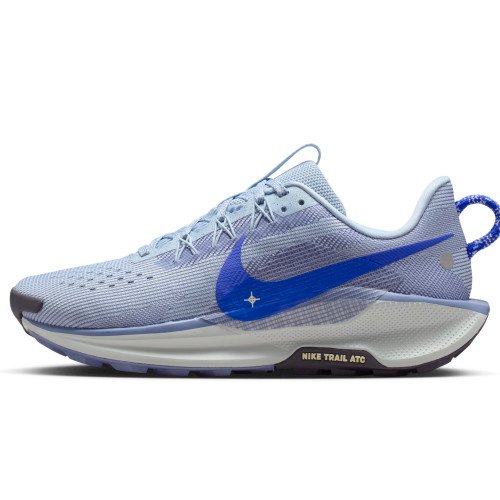 Nike Pegasus Trail 5 (DV3865-403) [1]
