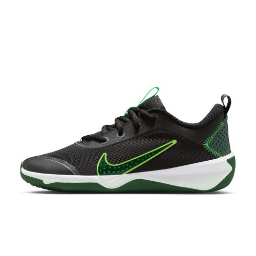 Nike Omni Multi-Court (DM9027-012) [1]