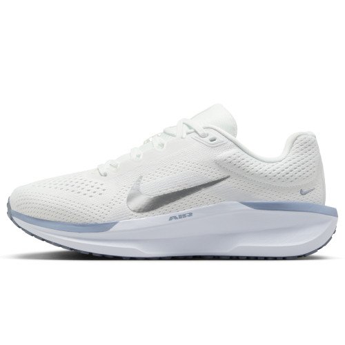 Nike Winflo 11 (FJ9510-110) [1]