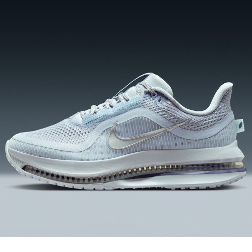 Nike Pegasus Premium (HQ2593-006) [1]