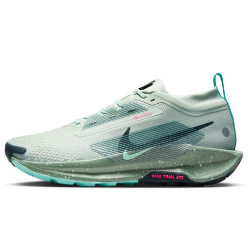 Nike Pegasus Trail 5 GORE-TEX (FQ0908-013) [1]