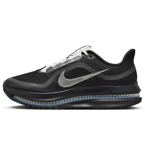 Nike Pegasus Premium SP (IH4369-001) [1]