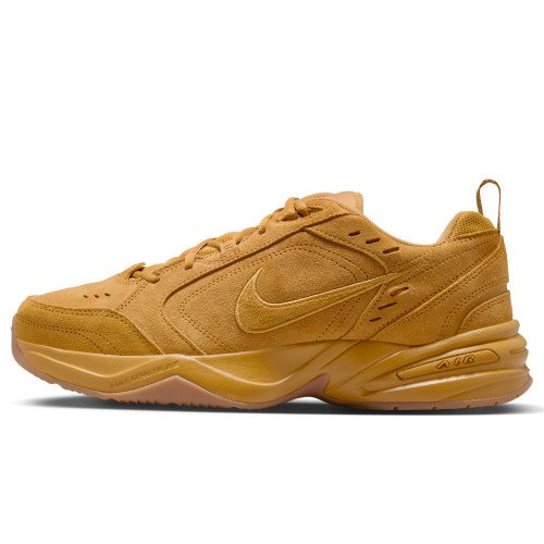 Nike Air Monarch SE (IB2281-700) [1]