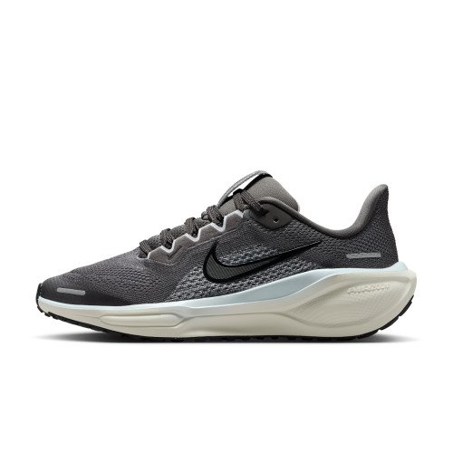 Nike Pegasus 41 (FN5041-201) [1]