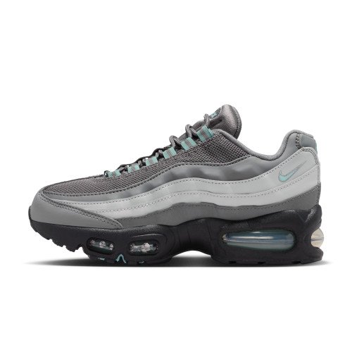 Nike Air Max 95 (IM6032-084) [1]