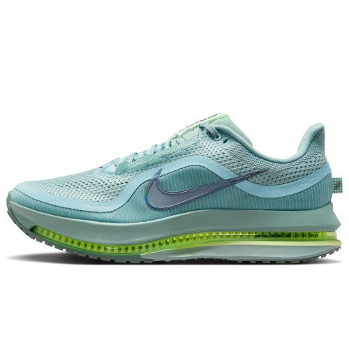 Nike Pegasus Premium (HQ2592-009) [1]