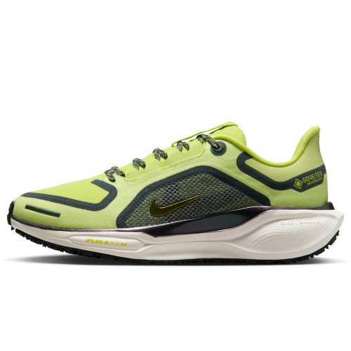 Nike Pegasus 41 GORE-TEX (FQ1357-300) [1]