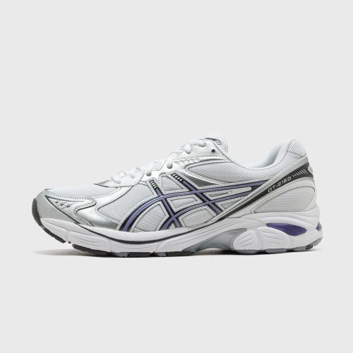Asics GT-2160 (1203A320-104) [1]