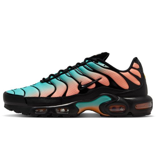 Nike Air Max Plus (DM0032-022) [1]