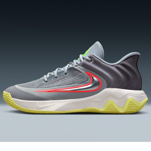 Nike Giannis Immortality 4 (FQ3680-009) [1]