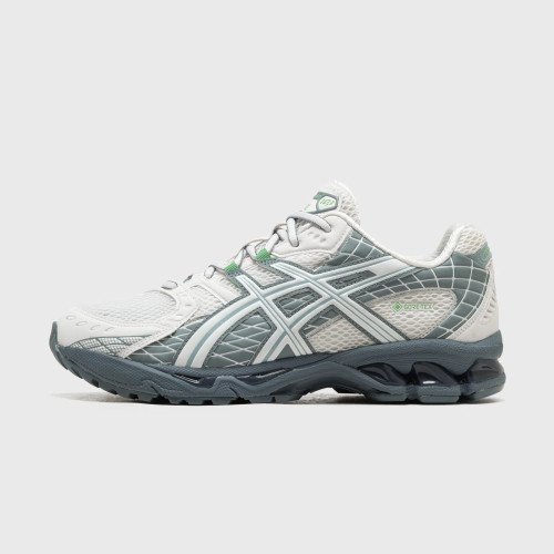 Asics Gel-nimbus 10.1 Gtx (1203A760-100) [1]