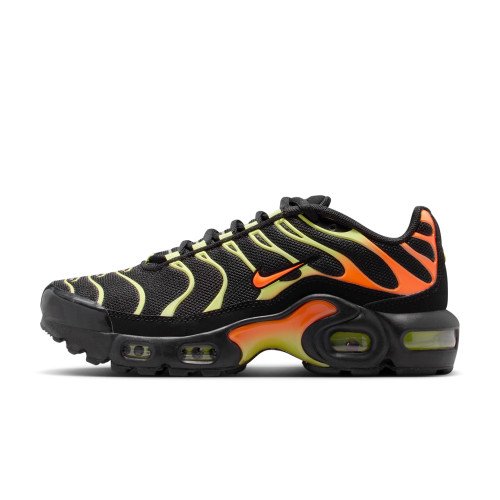Nike Air Max Plus (CD0609-040) [1]