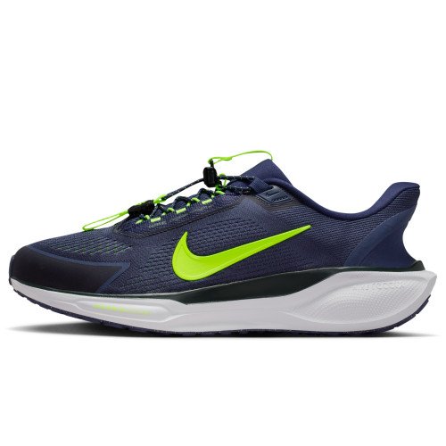 Nike Pegasus EasyOn (FQ7837-500) [1]