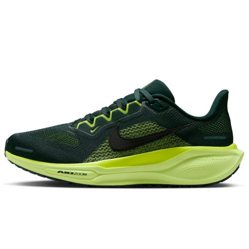Nike Pegasus 41 (FD2723-302) [1]
